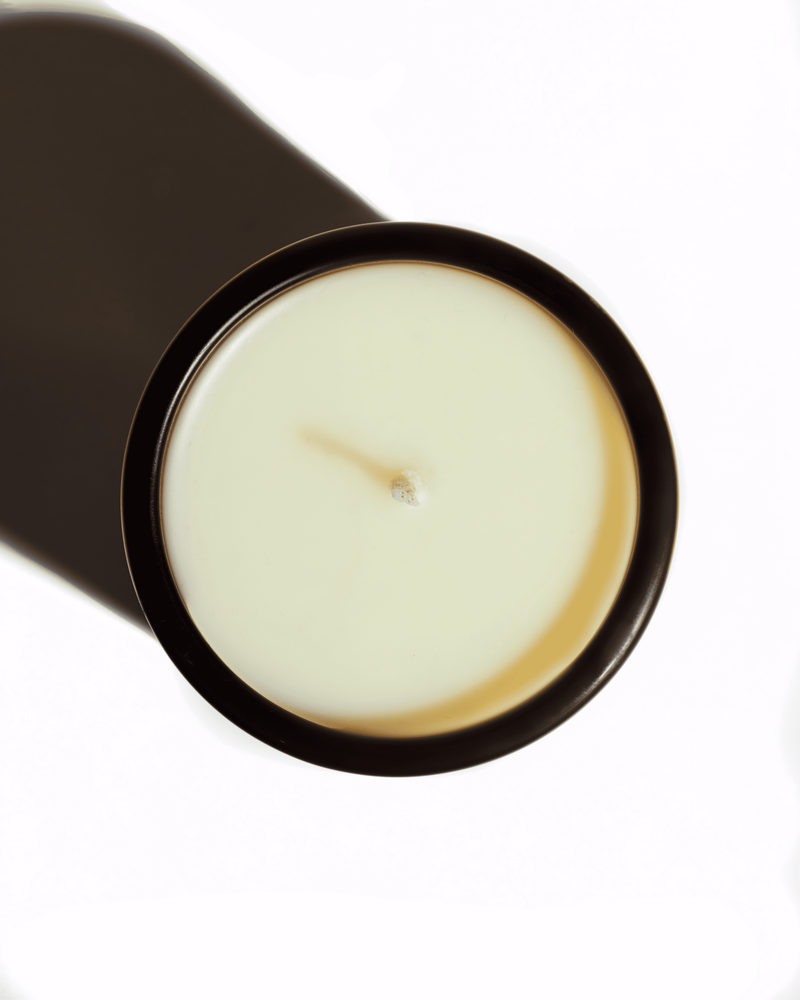 PALOMINO